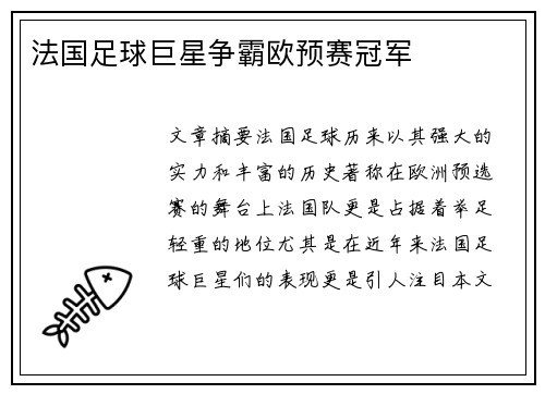 法国足球巨星争霸欧预赛冠军